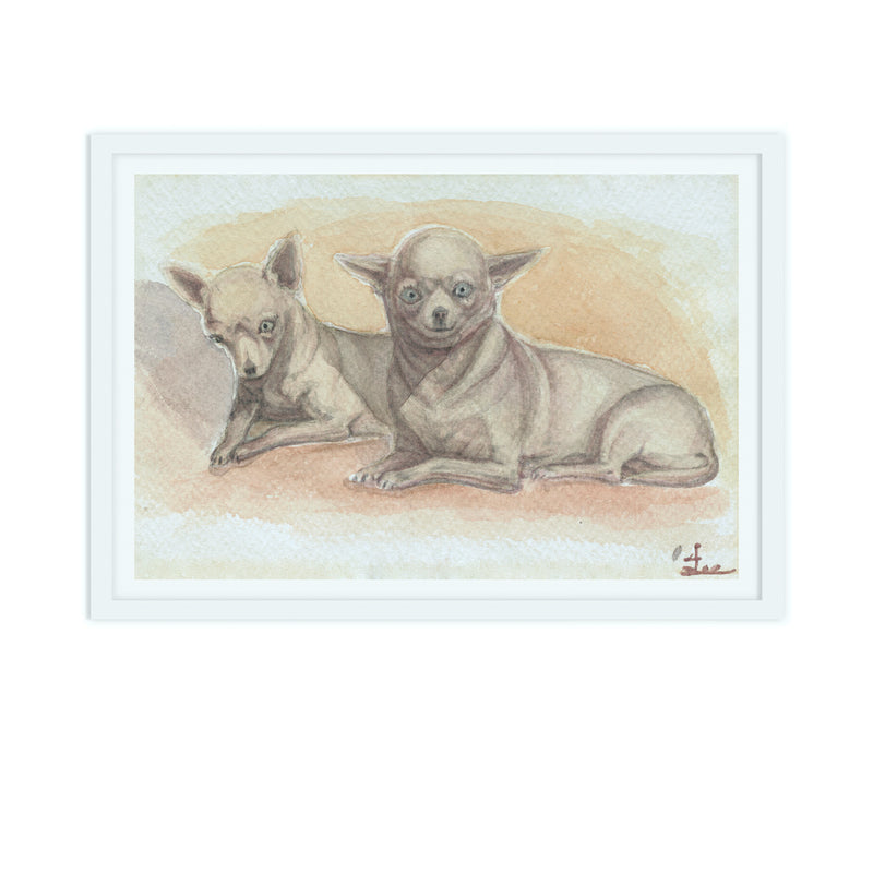 Chihuahua Print