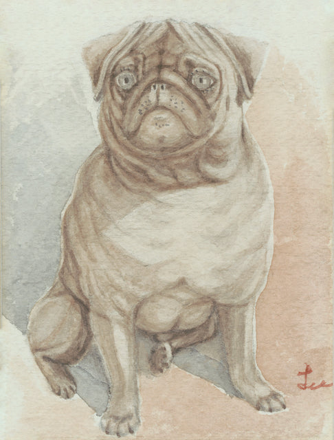 Sitting Pug Print