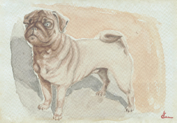 Standing Pug Print