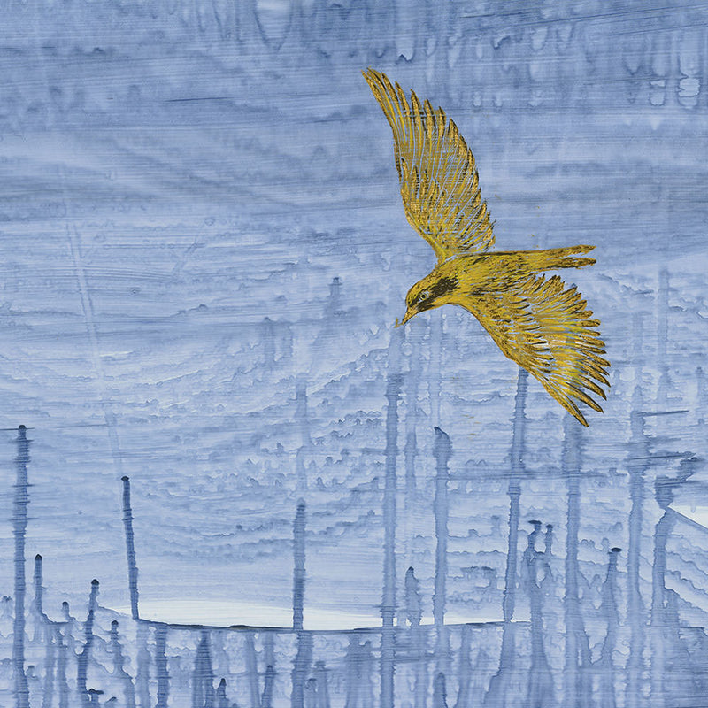 Golden Bowerbird Art Print