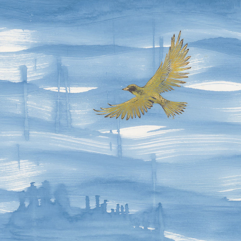 Golden Bowerbird Migration