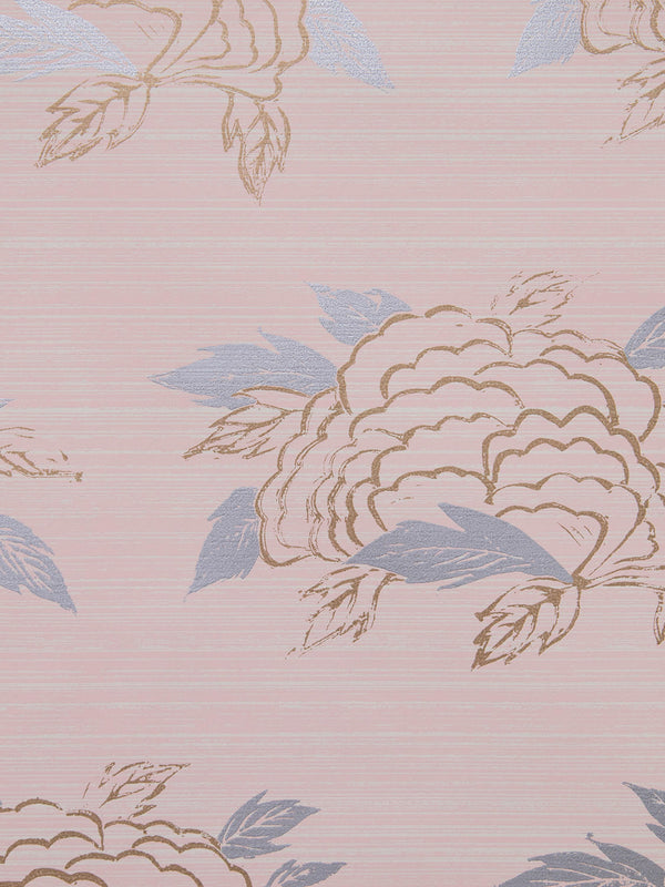 Chrysanthemum Wallpaper in Blush